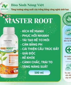 Master Root