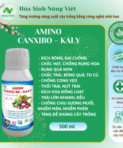 AMINO CANXIBO - KALY