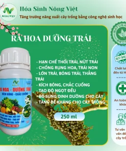 RA HOA - DƯỠNG TRÁI
