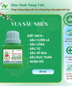 VUA SÂU NHỆN