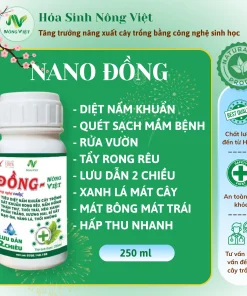 NANO ĐỒNG