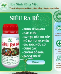 SIÊU RA RỄ