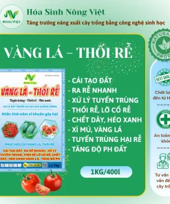 VÀNG LÁ THỐI RỄ