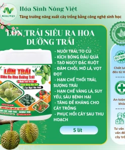 LỚN TRÁI SIÊU RA HOA DƯỠNG TRÁI
